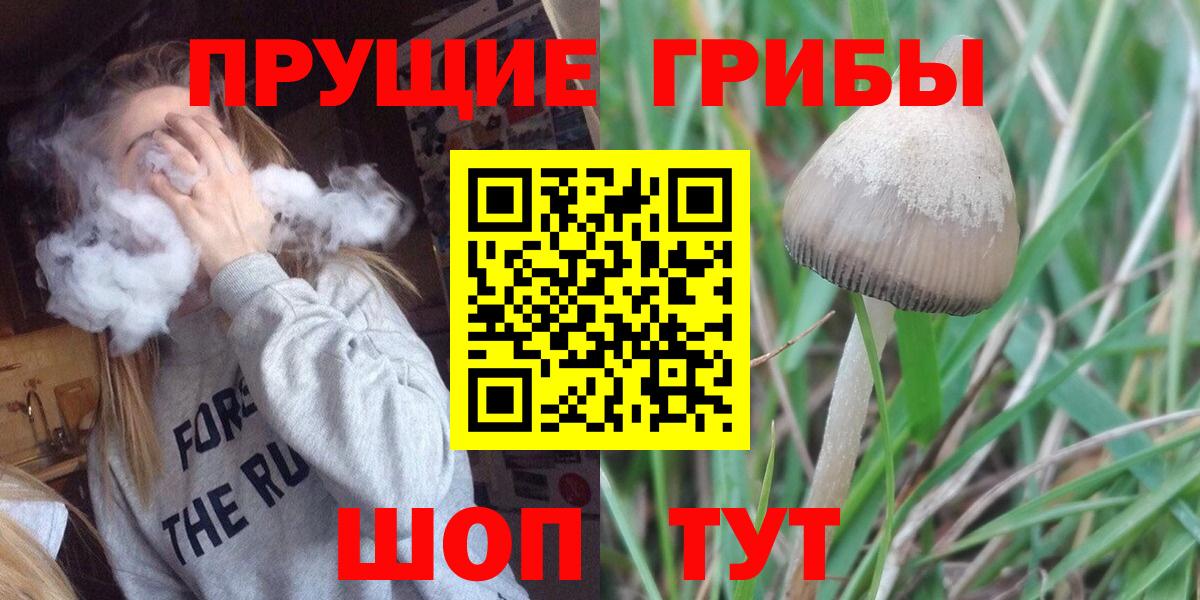 Лениногорск  Псилоцибиновые грибы прущие грибы  Вход с VPN 